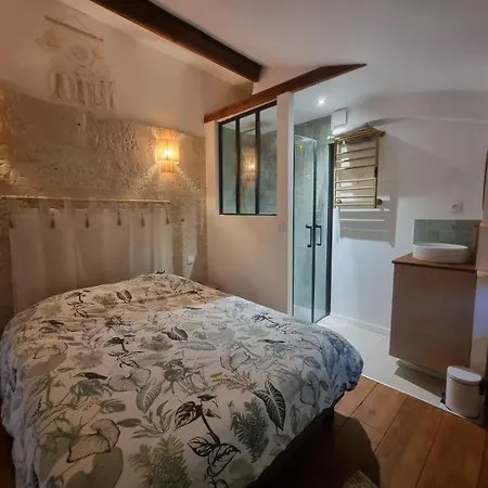 Daire Joli Duplex, Climatise, Avec Local A Velos *